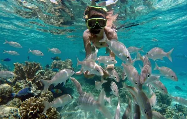 Snorkeling nos Parrachos